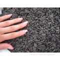 black sunflower seeds